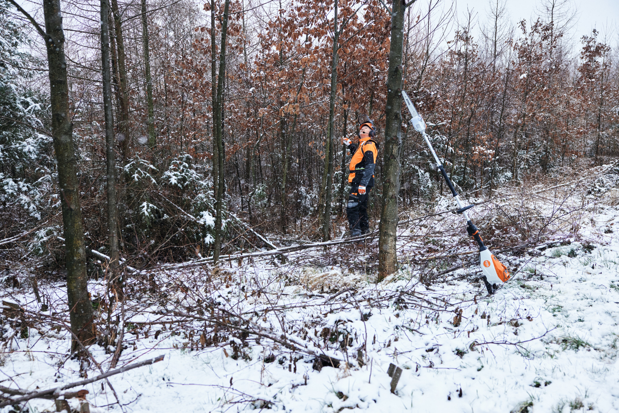Un uomo con attrezzatura antifortunistica lavora in una foresta innevata, in primo piano uno sramatore a batteria STIHL HTA 150 appoggiato a un tronco d'albero