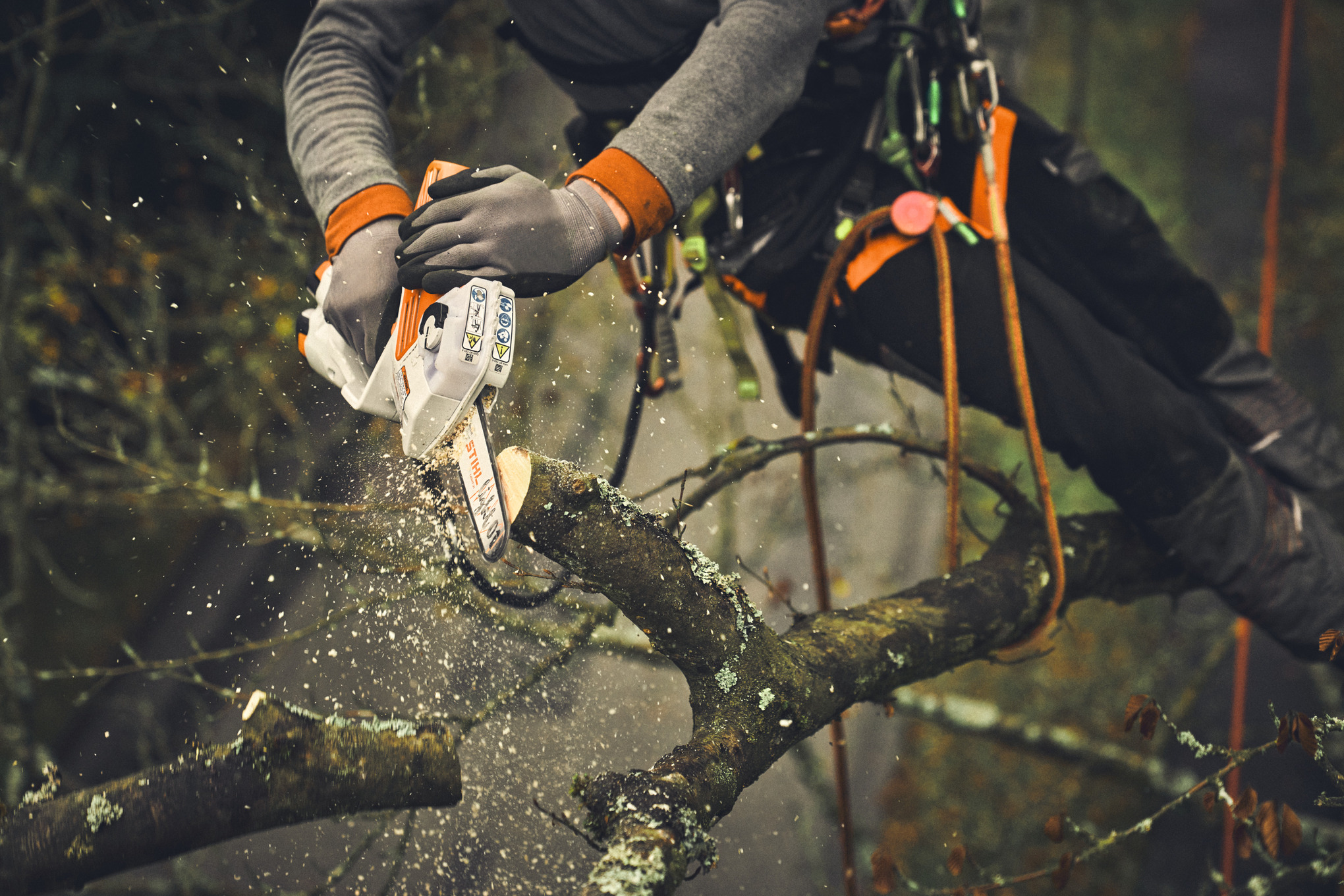 Spranga Light 01 1/4" P