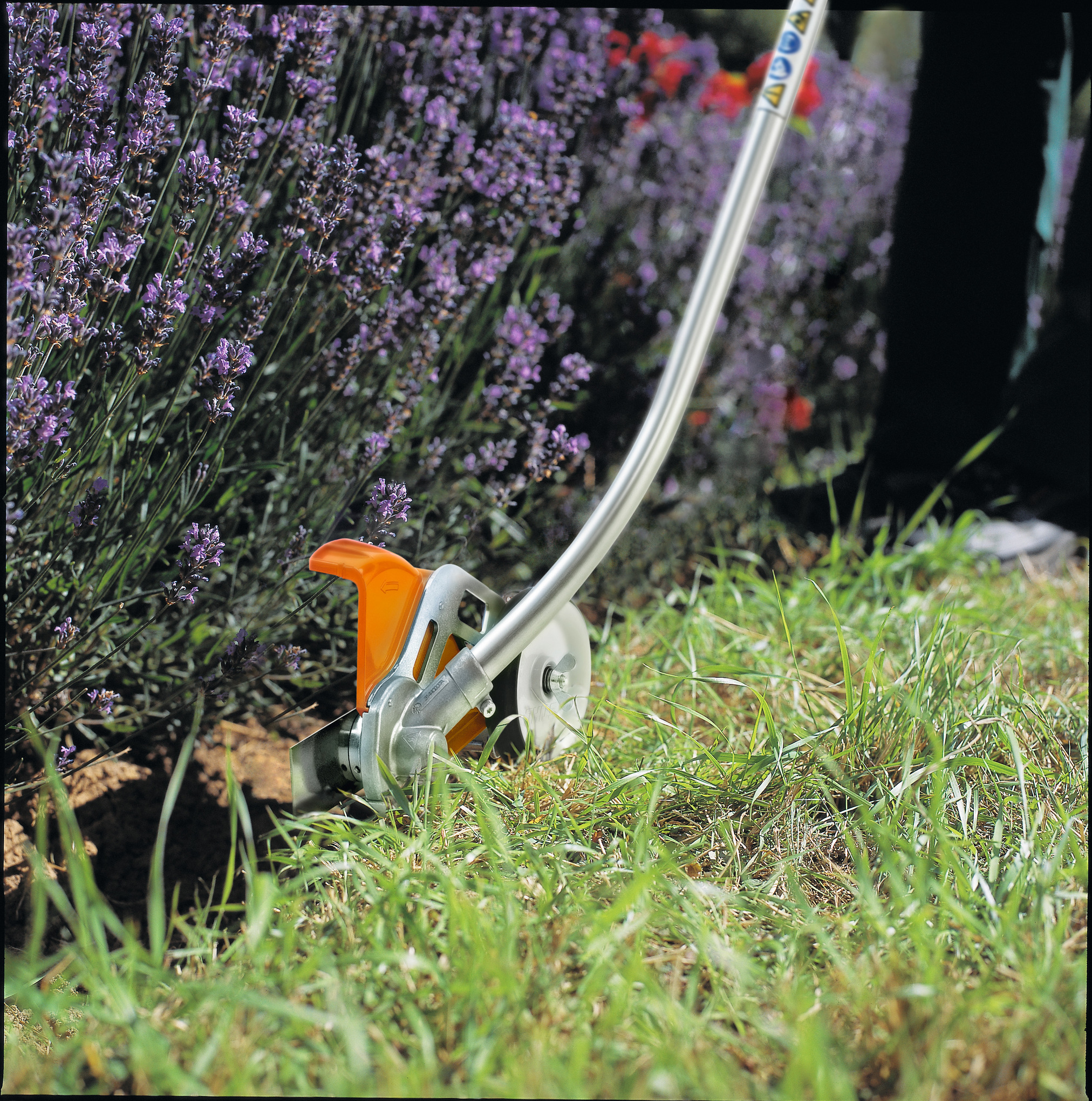 Tagliabordi