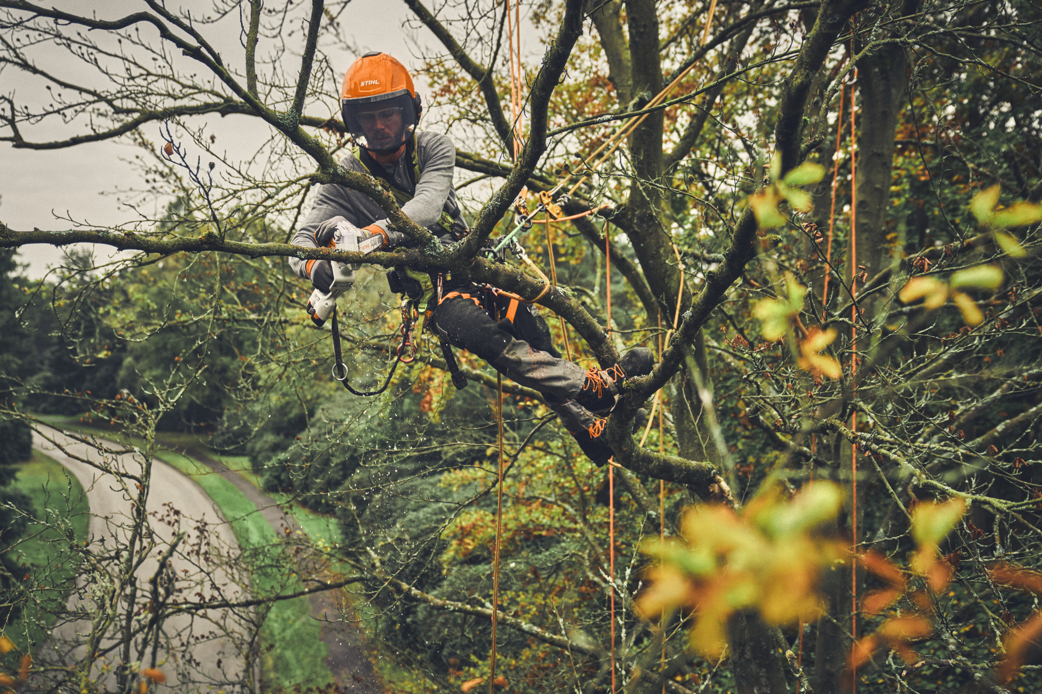 Uomo che pota alberi in cima a un albero con un potatore a batteria STIHL GTA 40