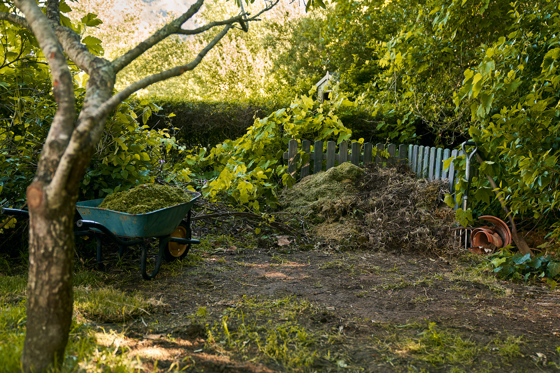 Carriola con rifiuti di giardinaggio accanto a un cumulo di compost