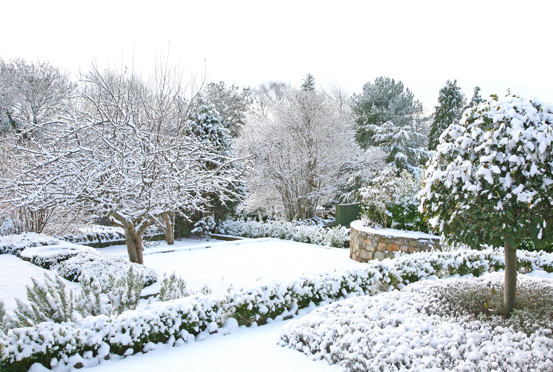 Giardino coperto di neve in inverno