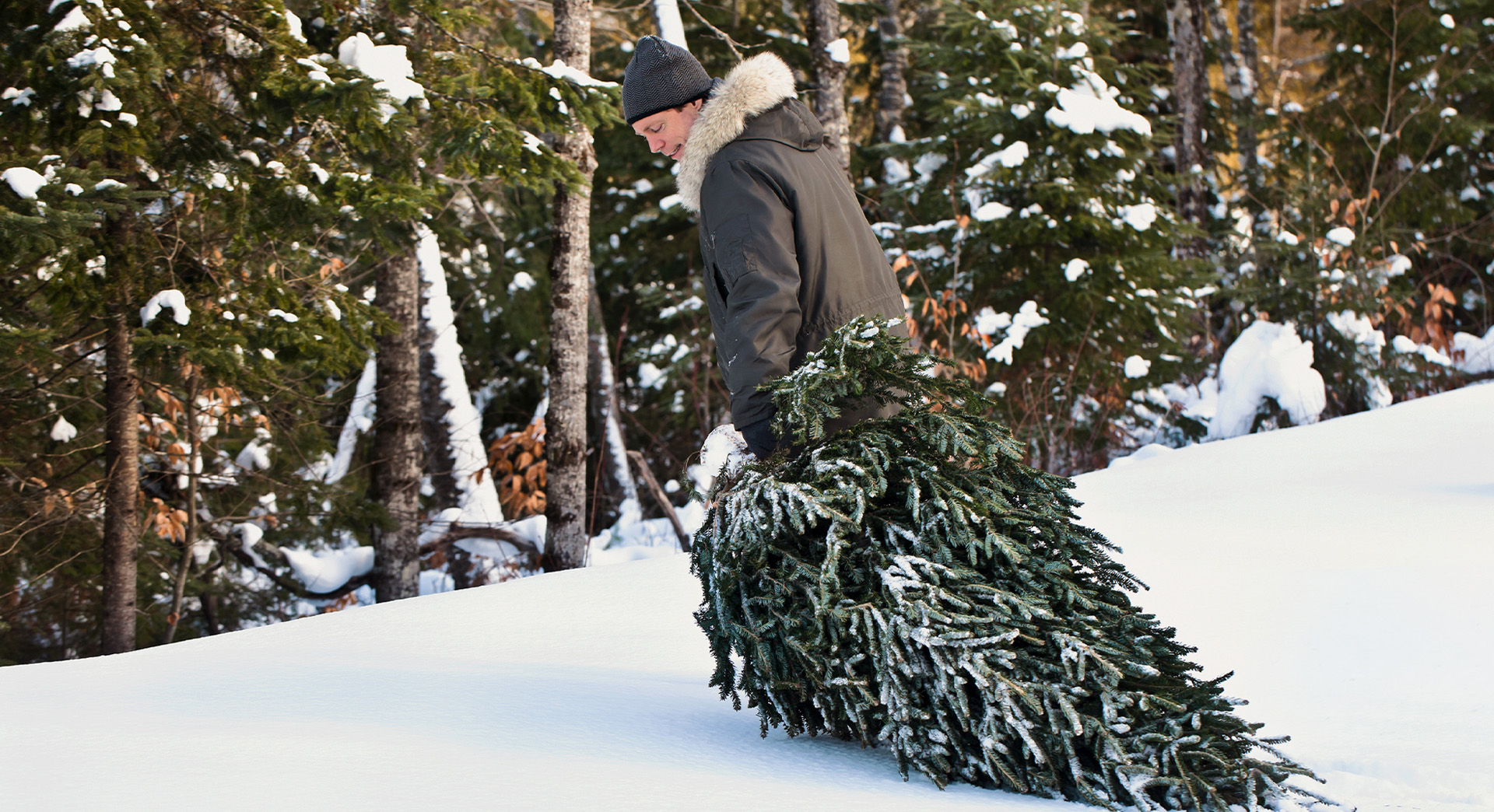 Un uomo con berretto e giacca invernale tira un albero di Natale in un bosco innevato dopo averlo tagliato lui stesso