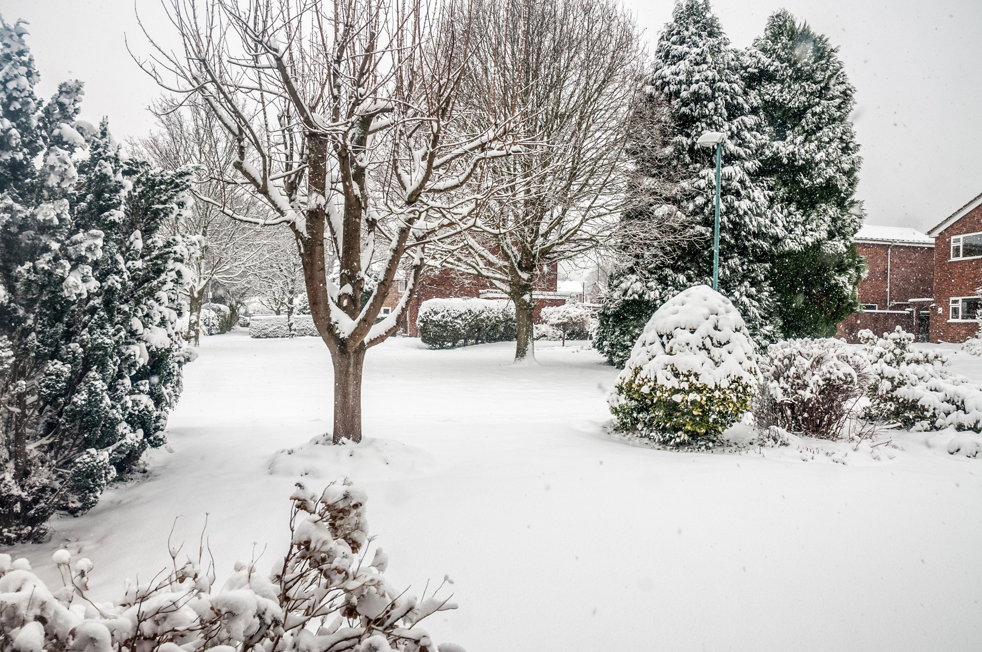 Giardino con alberi e cespugli innevati che non richiede molta cura del prato in inverno