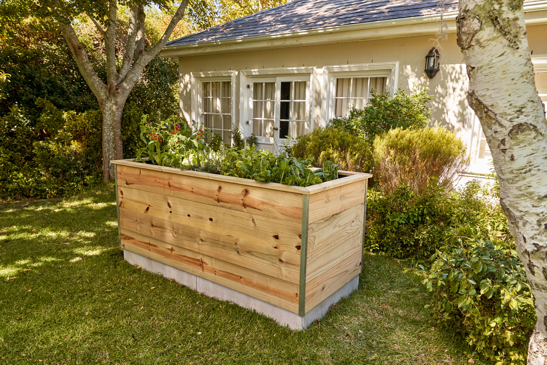  Aiuola rialzata piantumata realizzata con tavole di legno in un giardino davanti a una casa