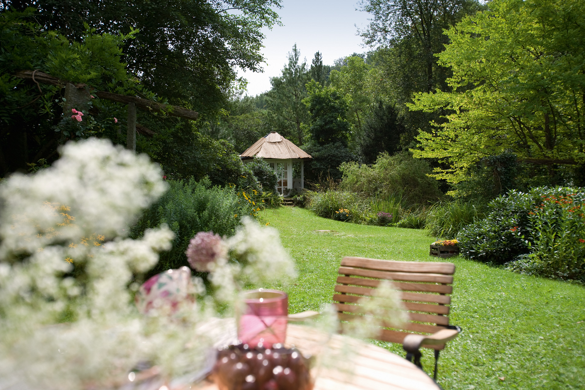 Cura di un giardino rigoglioso con una sedia in primo piano e un capanno sullo sfondo