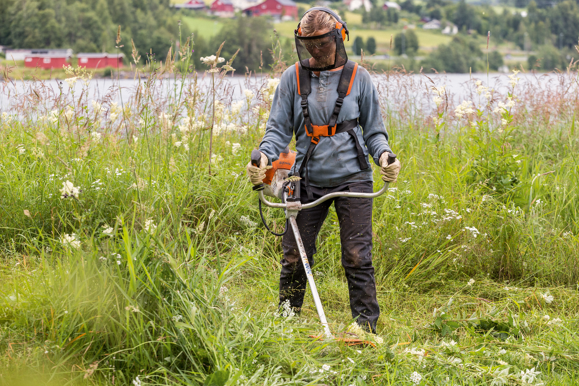 Donna munita di visiera e protezioni acustiche STIHL che falcia il prato con un decespugliatore a benzina STIHL FS 240