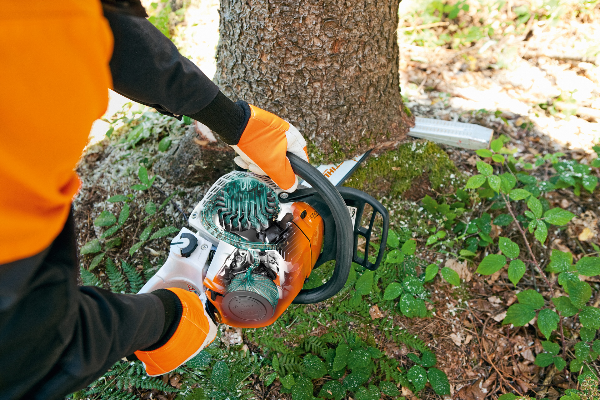 Il tronco viene segato con la motosega STIHL MS 241