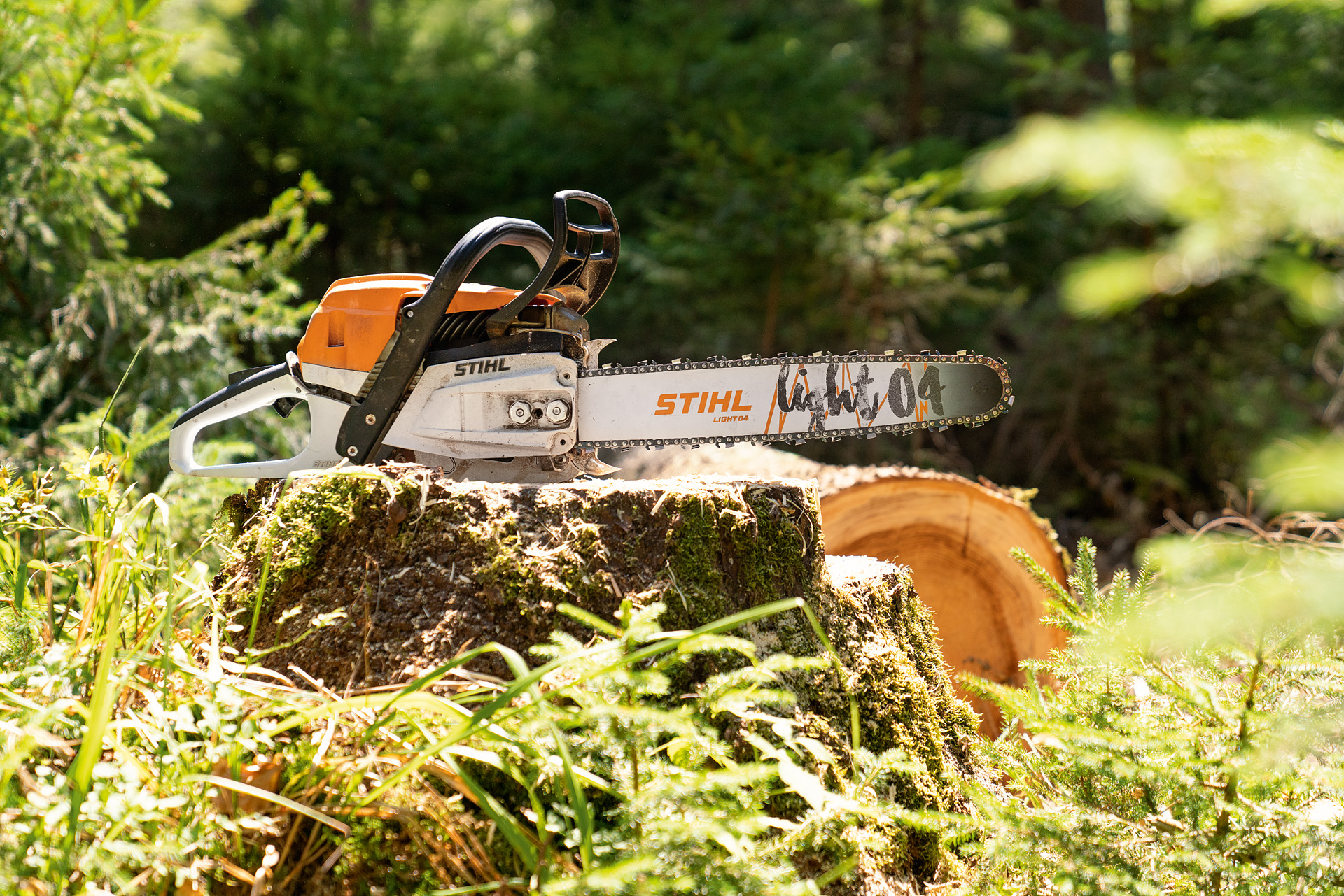 Motosega a benzina STIHL MS 261 C-M appoggiata su un tronco d'albero all'interno di un bosco