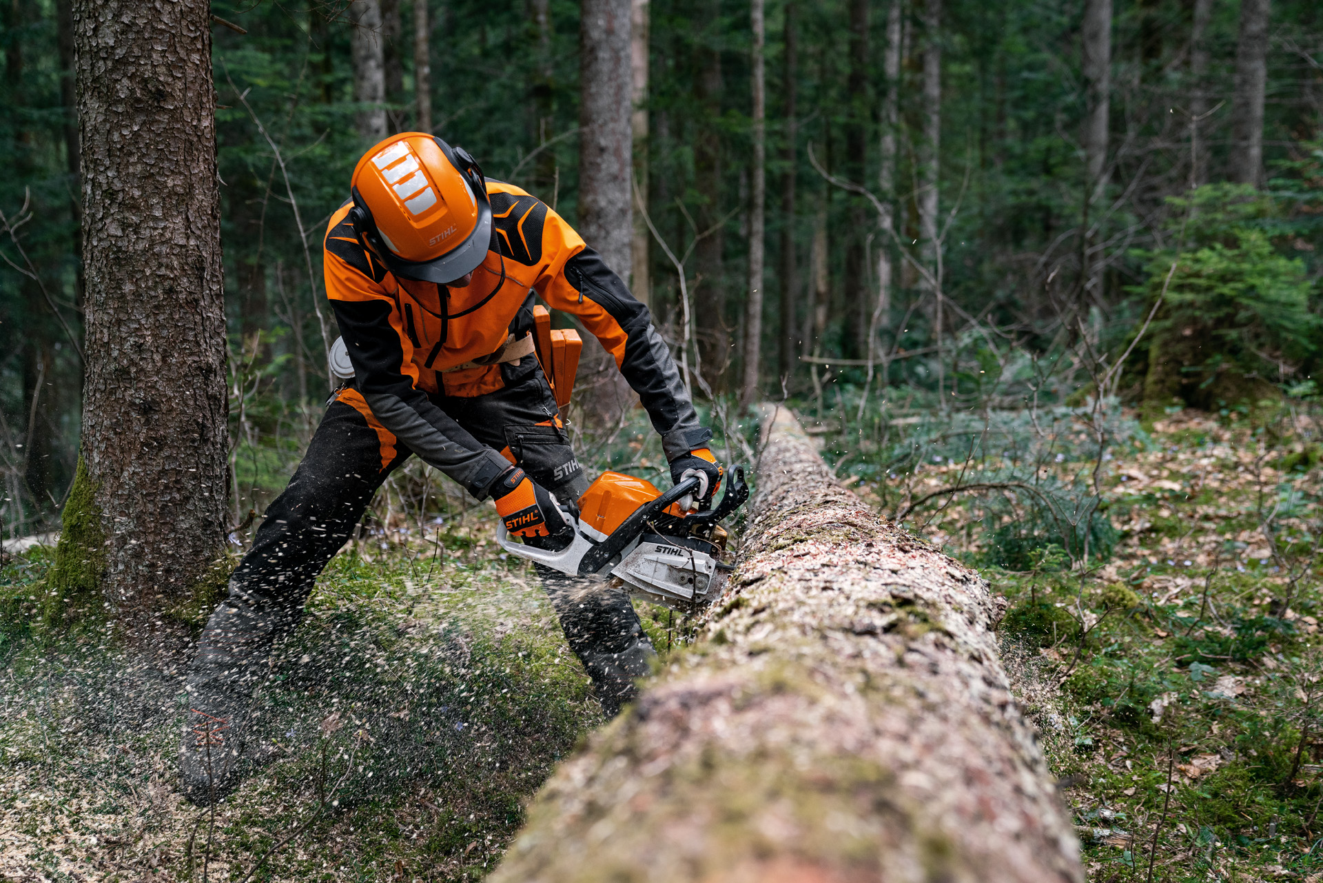 Un uomo con un'attrezzatura di protezione sega il tronco di un albero caduto con una motosega a benzina STIHL MS 400 C-M con pistone in magnesio
