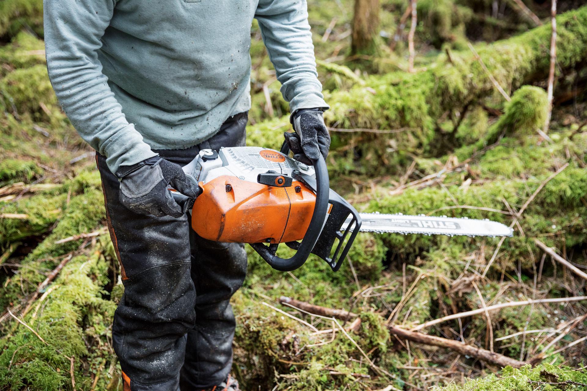 Persona con motosega a benzina STIHL MS 462 C-M con riscaldamento del carburatore nel bosco tra tronchi d'albero coperti di muschio