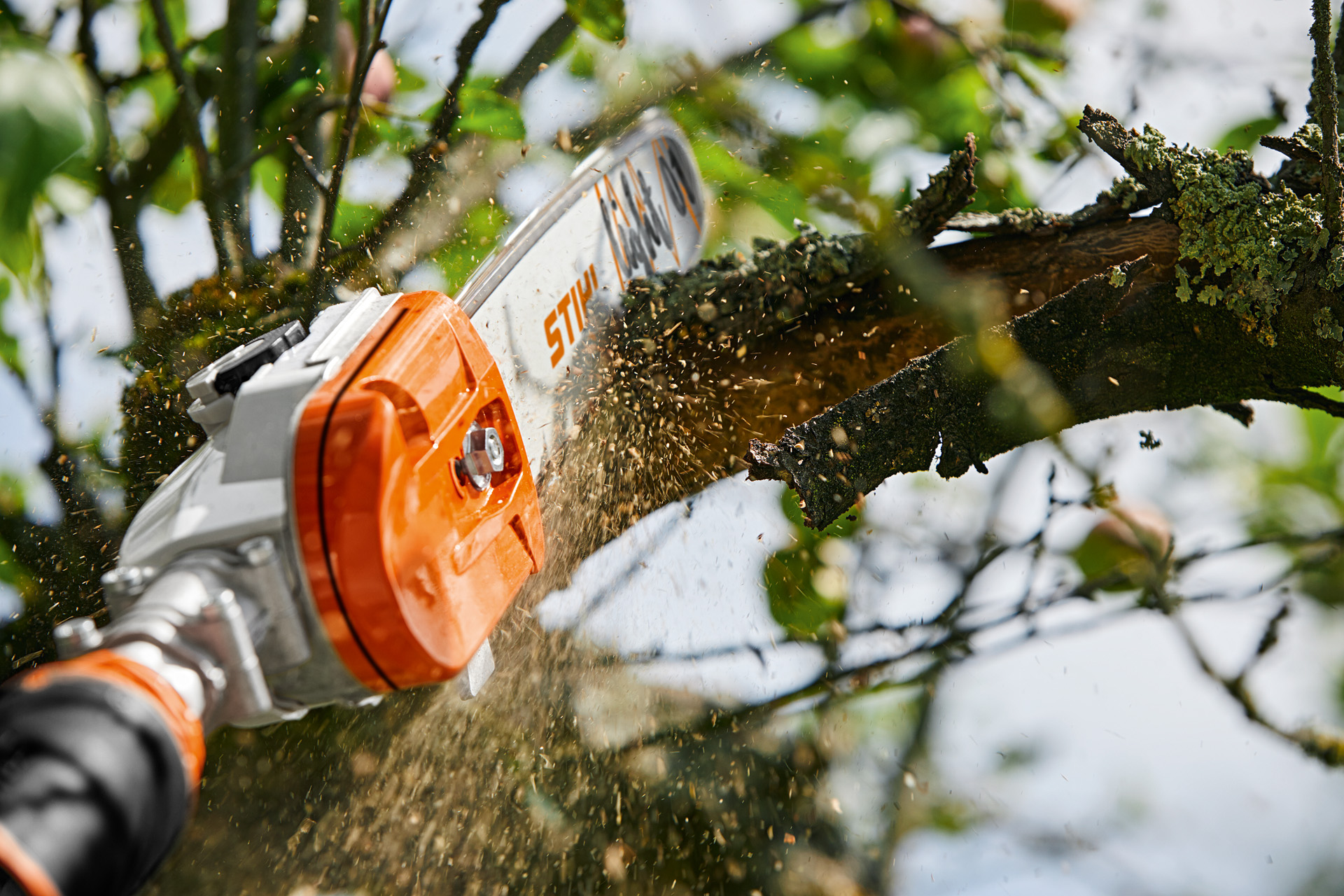 Il ramo di un albero da frutto può essere tagliato con il potatore senza fili GTA 26 STIHL