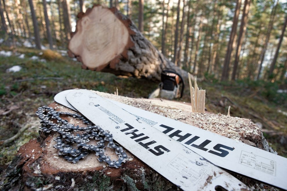 Due barre di guida Rollomatic e catene di sega appoggiate su un ceppo d'albero nel bosco
