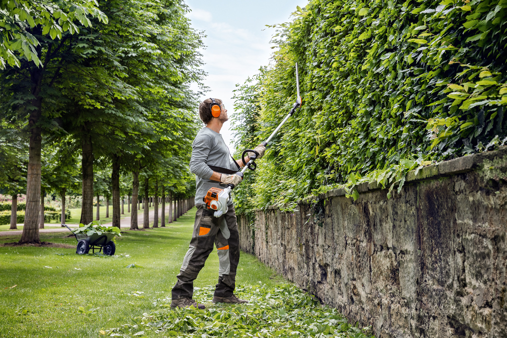 Uomo con abbigliamento protettivo che effettua un taglio laterale verticale con il tagliasiepi STIHL HL 94