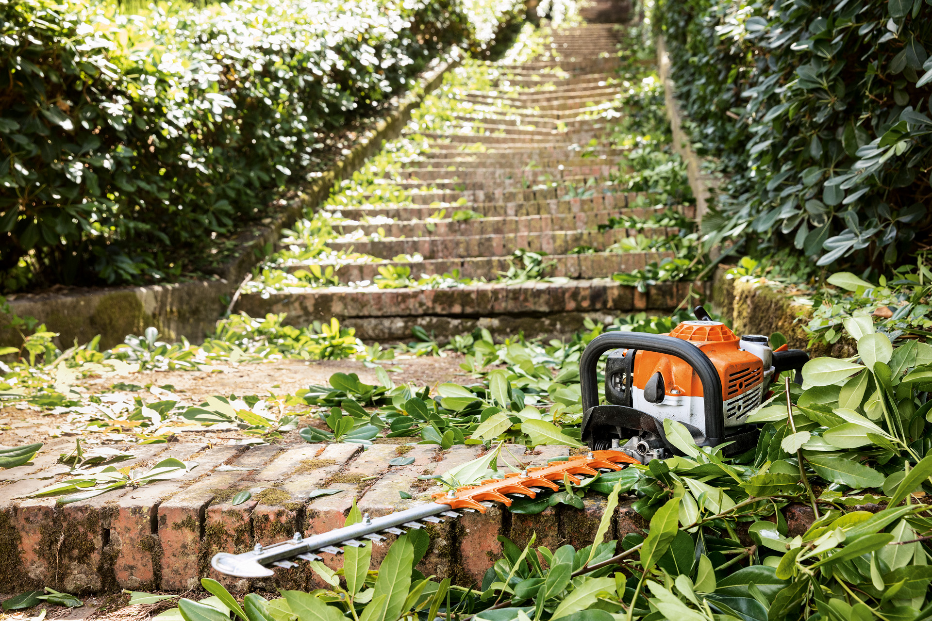 Tagliasiepi a benzina STIHL HS 82 T appoggiato su una scala tra le foglie verdi prima della manutenzione