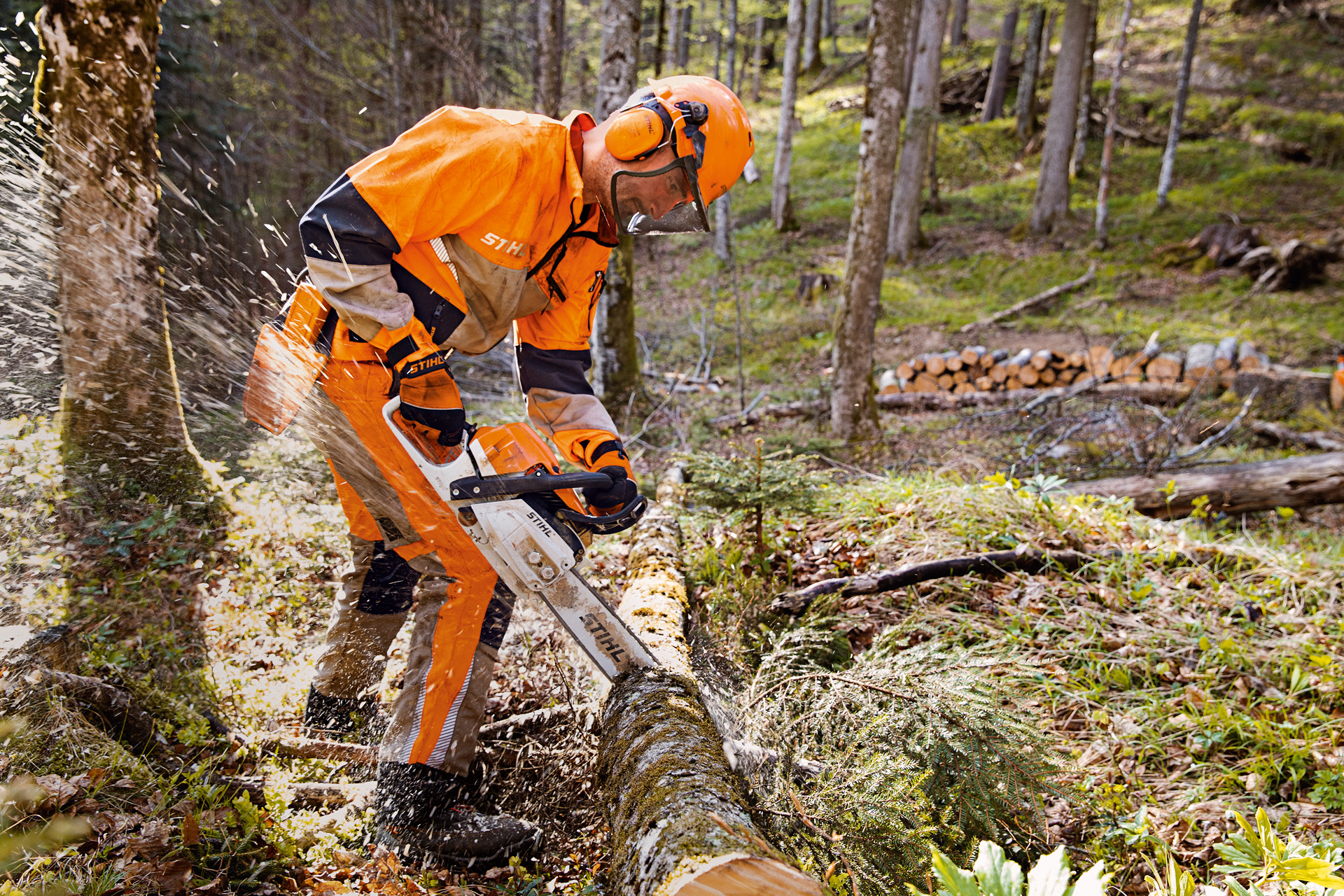 Taglialegna che indossano gli indumenti di protezione e che segano un albero nel bosco con la motosega STIHL.