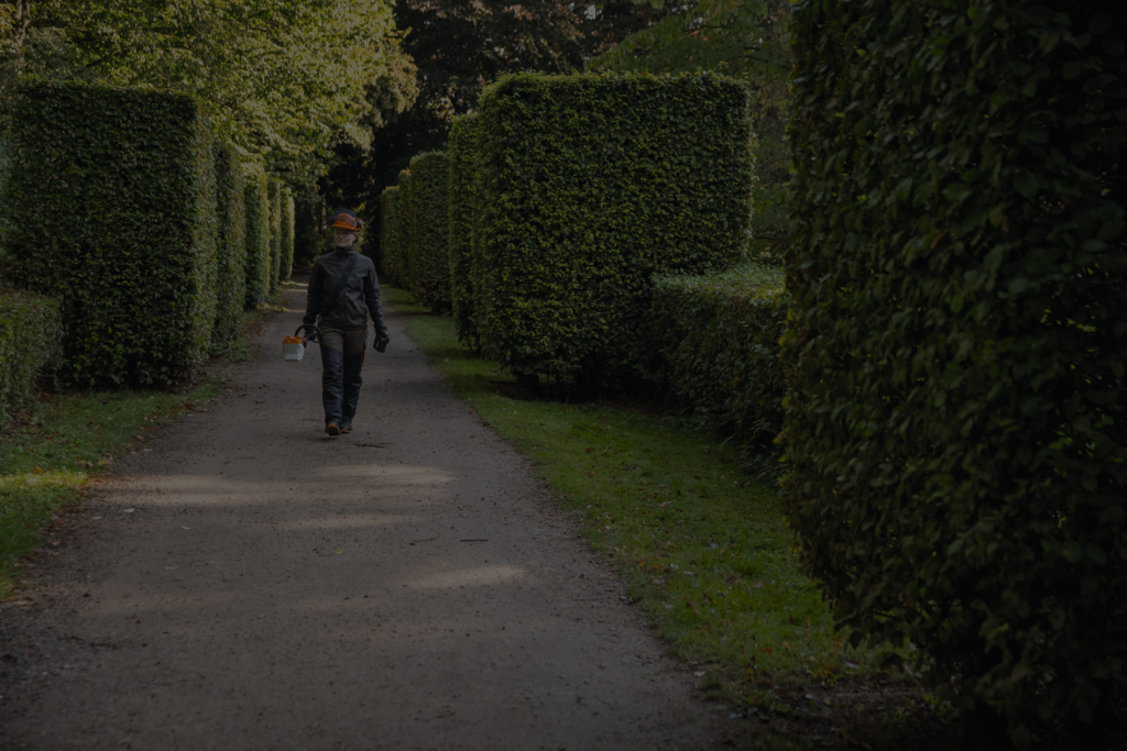 Donna munita di dispositivi di protezione individuale STIHL che percorre un sentiero del parco fiancheggiato da siepi squadrate sorreggendo con un attrezzo a batteria