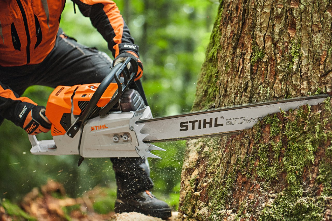 Una persona sega un albero con una motosega a benzina STIHL MS 881 con spranga di testa