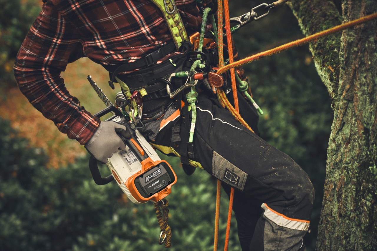 Primo piano di una persona che si arrampica su un albero con la motosega a batteria STIHL MSA 190 T.