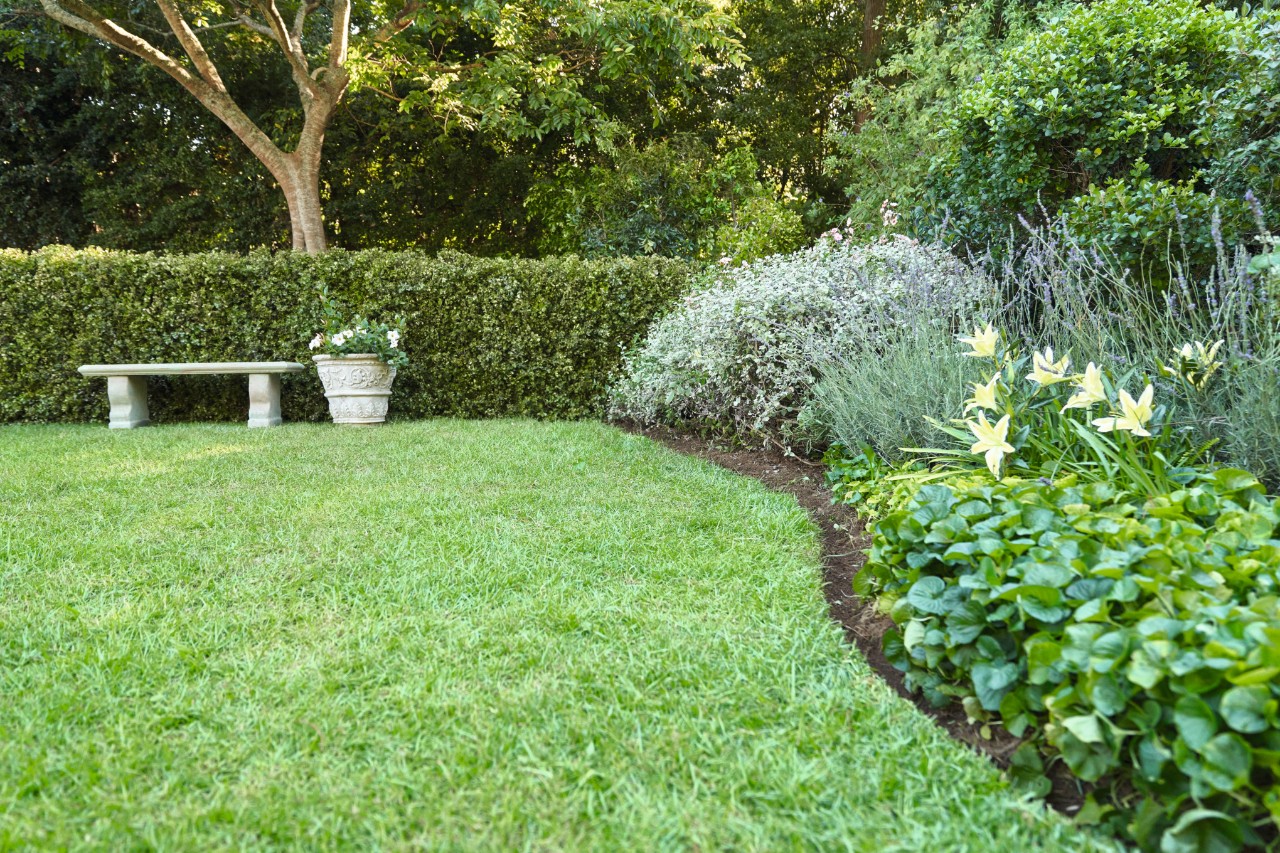 Il bordo curvo del prato inglese delimita la superficie del prato in giardino