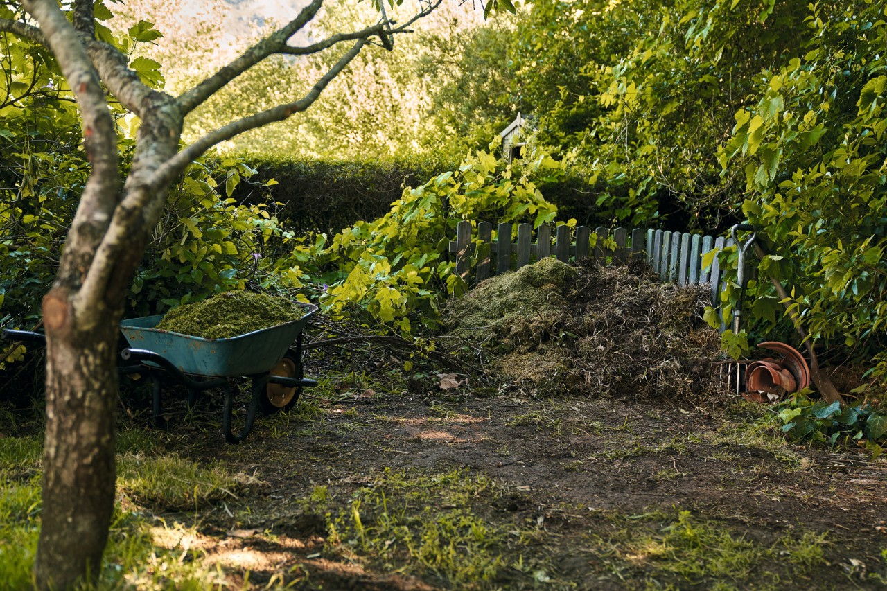 Carriola con rifiuti di giardinaggio accanto a un cumulo di compost