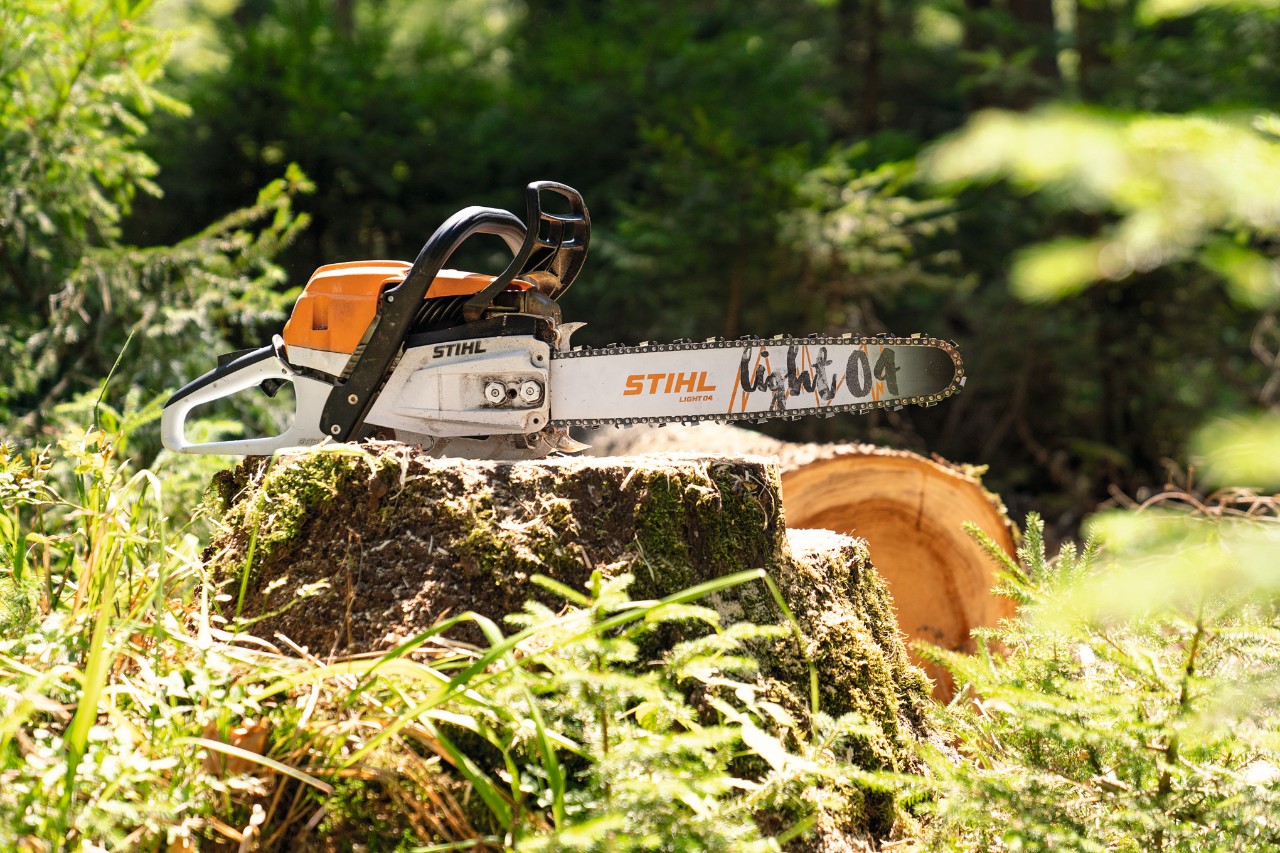 Sega a catena a benzina STIHL MS 261 C-M appoggiata su un tronco d'albero all'interno di un bosco