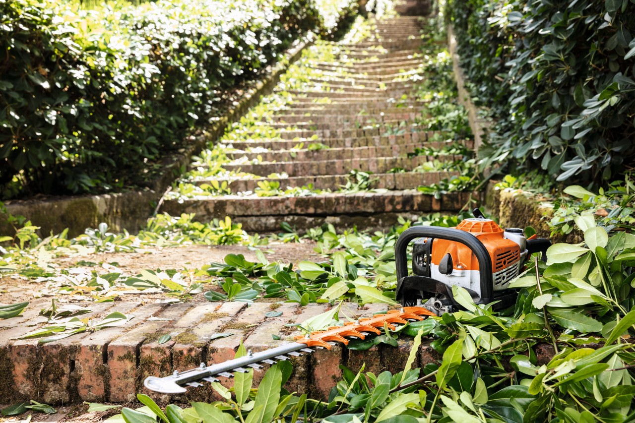 Tosasiepi a benzina STIHL HS 82 T appoggiato su una scala tra le foglie verdi prima della manutenzione