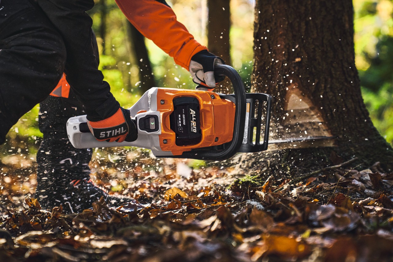 Un professionista del settore del legno abbatte gli alberi nel bosco utilizzando una motosega a batteria del modello STIHL MSA260