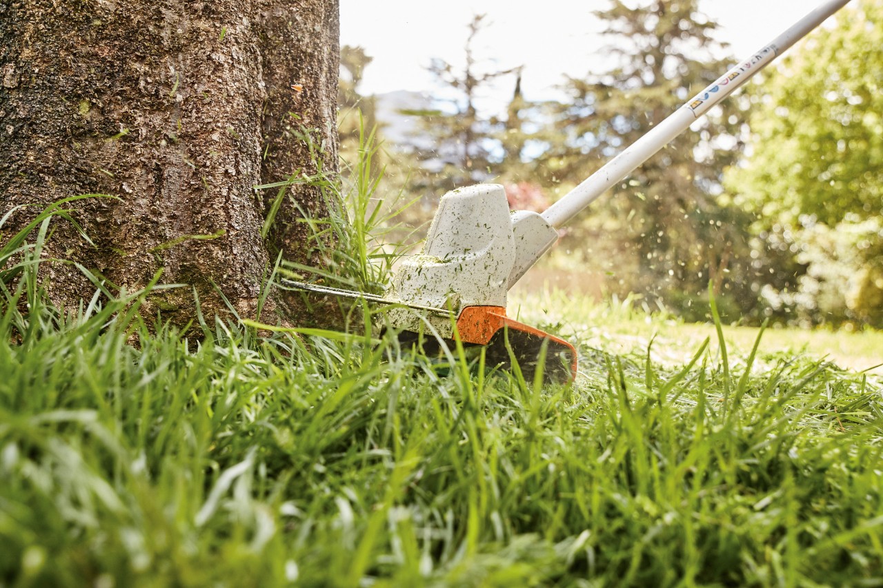 Taglio dei bordi intorno a un albero con il tagliabordi a batteria STIHL FS 57