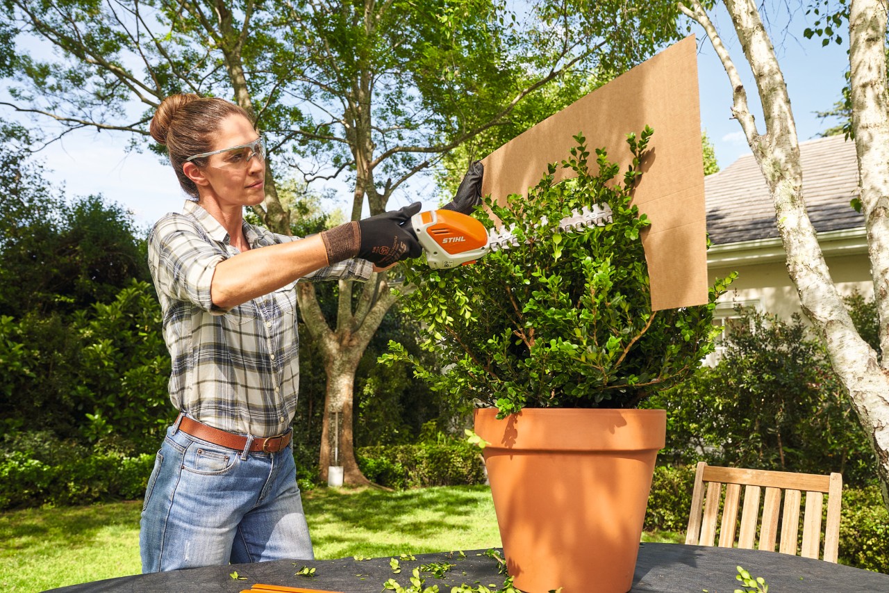 Una donna taglia il bosso a forma sferica con il rifinitore a batteria STIHL HSA 26 utilizzando una sagoma di cartone